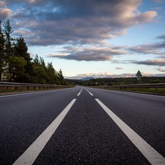 A road stretches out into the distance with tall trees on the left.